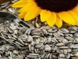 فواید کره تخم آفتابگردان 