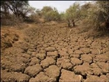 زمین دچار شدیدترین خشکسالی می شود 