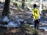 سهل‌انگاري افراد جنگل‌هاي ارسباران را 3 بار آتش زد 