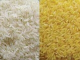 برنج‌هايي ‌كه به ‌صورت ‌مصنوعي قد مي‌كشند 