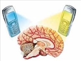 تلفن همراه ،گلوکز مغز را مصرف مي‌کند 
