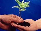 اسلام و محیط زیست