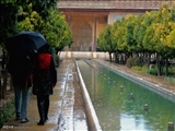  نفوذ سامانه بارشی فعال به استان/ احتمال بارش شدید باران در تبریز