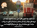 دانستنی‌های تصویری +عکس 