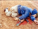 عکسی که زینت بخش اتاق رهبر انقلاب شد 