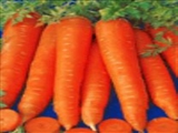 مصرف روزانه هویج 5 تا 8 بار خطر ابتلا به سرطان سینه را كاهش می دهد 