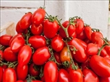 تاثیر مصرف عصاره کامل گوجه فرنگی در مقابله با سرطان معده