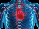 سروصدا فاکتور پرخطر ابتلا به بیماری قلبی