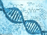  پنتاگون در نظر دارد ذخیره اطلاعات شخصی شهروندان بر اساس DNA آنها