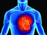  اثرات استرس محیطی بر بافت معمول و غیرمعمول قلب