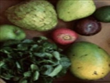 میوه های پوست كنده و خرد شده در مجاورت هوا ویتامین خود را از دست می دهند 