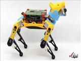  سگ رباتیکی که همزمان بازی می‌کند و آموزش می‌دهد 