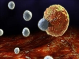  واکسن سرطان آزمایشی دانشگاه استنفورد سیستم ایمنی را قادر به شناسایی سرطان می‌کند
