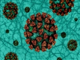 اومیکرون از ویروس‌های آنفلوانزای فصلی کشنده‌تر است