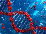  ویروس‌های باستانی در DNA انسان می‌توانند کلید مبارزه با سرطان باشند