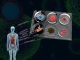  ارگانوئیدها می‌توانند آینده پزشکی را متحول کنند