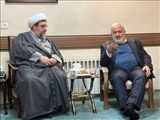 علی آبادی: اولویت ما در دولت چهاردهم رفع ناترازی برق است