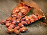 ۱۰ خاصیت شگفت‌انگیز سنجد