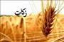 جمع آوری ۱۹۲ میلیارد تومان زکات در آذربایجان شرقی