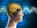 خواندن سیگنال‌های پنهان مغز با فناوری جدید محقق ایرانی