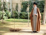 امسال یک درخت هم به یاد او خواهم کاشت