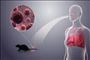 «هانتاویروس» از کجا می‌آید و چگونه به انسان منتقل می‌شود؟