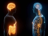 کاهش چربی شکم، مغز را چند دهه‌ جوان می‌کند