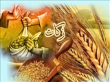 فرمان پیامبر (ص) برای دریافت زکات