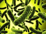 کشف 662 نوع ميکروب در بدن انسان 