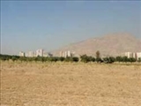 واگذاري زمين ‌هاي 1000 متري كارشناسي ‌شده نيست 