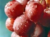 اثر مفید هسته انگور در درمان بیماری آلزایمر 