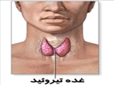 9 اشتباه رايج درباره تيروئيد 