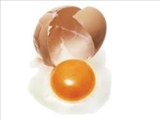 تخم ‌مرغ نيم‌پز نخوريد 