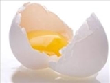 روزتان را با تخم مرغ شروع کنید تا چاق نشوید 