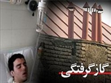 3 نفر در تبریز قربانی قاتل نامرئی شدند 