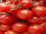 سلامتی خود را با گوجه فرنگی جشن بگیرید 