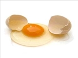  مواد تشکیل دهنده و مقدار کالری یک تخم‌مرغ 