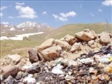 طبیعت در محاصره زباله