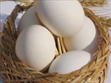 تخم مرغ براي قلب مفيد است 