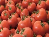 گوجه‌ فرنگی‌های مخصوص برای جلوگیری از حمله قلبی 