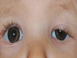 وقتي پلک‌ها سربه‌زير مي‌شوند 