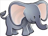 فیل، بزرگ‌ترین حیوان خشکی 