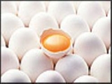 تاثیر زرده تخم مرغ در رفع تصلب شرائین و عروق قلبی