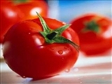 گوجه فرنگی و کاهش خطر ابتلا به سرطان پروستات