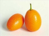 پرتقال‌های كوچولو را با پوست بخورید! 