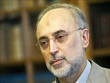 صالحی: جمهوری اسلامی ایران در سال 92 وارد فازی جدید خواهد شد 