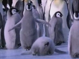 (فیلم) دنیای پنگوئن‌ ها 
