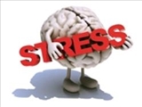 اضـطراب و استرس را به‌شکل طبیعی درمان کنید 