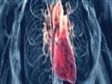 چرا بیماری قلبی؛ زنان را دیرتر از مردان گرفتار می‌کند؟ 