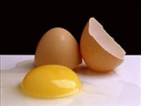 نکاتی جالب در مورد پوست تخم مرغ 